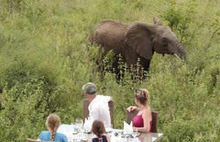 Spirit of the Masai Mara