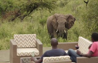 Spirit of the Masai Mara
