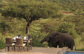 Spirit of the Masai Mara