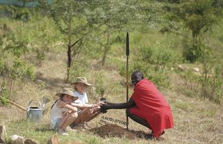 Tree Planting