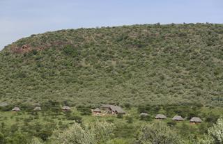 Spirit of the Masai Mara