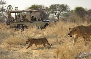 Game viewing