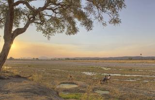 Dry riverbed in Ruaha