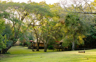 Chalet setting along the Chobe River