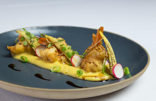 Starter 