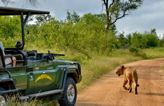 Kruger Safari Lodge