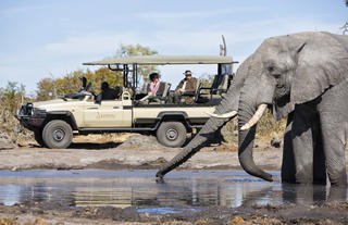Game Drive