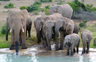 Hlosi Game Lodge 