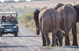 Hlosi Game Lodge 