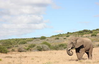 Hlosi Game Lodge 