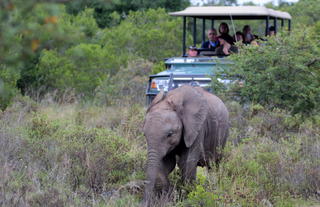 Hlosi Game Lodge 