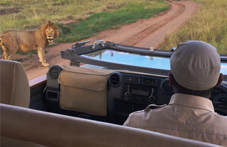 African Game Drive