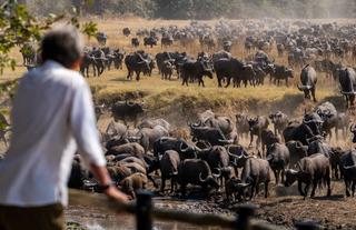 Main Lodge Deck viewing