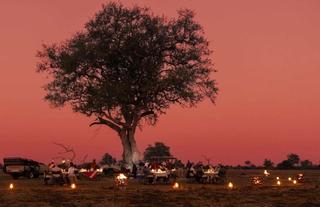 Lion Camp bush dinner