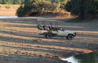 Lion Camp activities