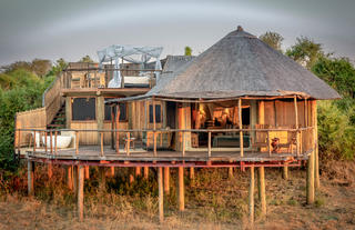 LION CAMP DELUXE SUITE 1