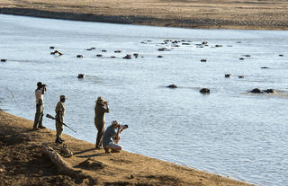 Puku Ridge walking safari