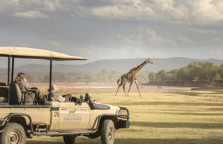 Puku Ridge - game drive Thornicroft's giraffe