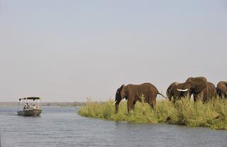 Old Mondoro - river and bush activities