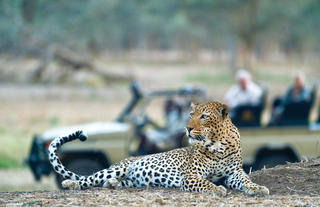 Old Mondoro - some of Africa's best leopard viewing