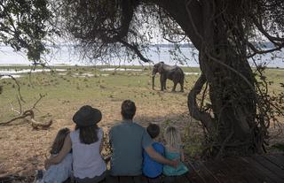 Family Safaris