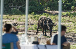 Boat Safari at Muchenje