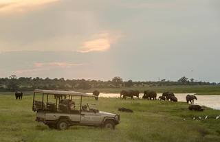 Game Drives in Western Chobe - Muchenje