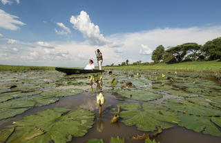 Mokoro Trip - Muchenje