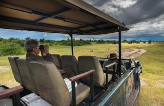 Game Drive on the Western Area
