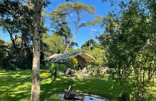 The Woodlands tents in the Waterberry conservation area