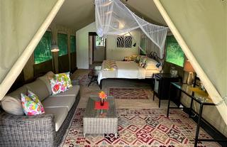 Inside the Woodlands tents at Waterberry