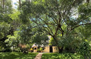 Waterberry - Wagtail and Sunbird Cottages 