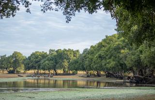 Big Lagoon Camp