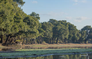 Big Lagoon Camp