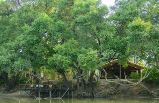 Big Lagoon Camp