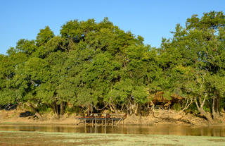 Big Lagoon Camp
