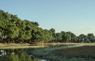 Big Lagoon Camp