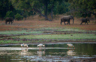Big Lagoon Camp
