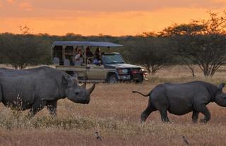 Game Drive