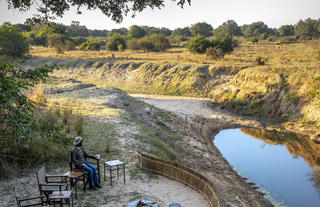 Chikoko Tree Camp