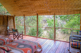 Chikoko Tree Camp