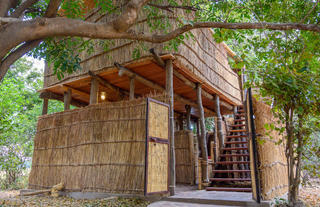 Chikoko Tree Camp