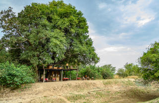 Chikoko Tree Camp