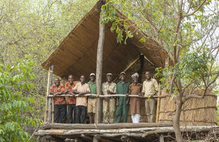 Chikoko Tree Camp