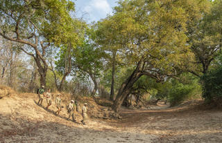 Chikoko walking trails