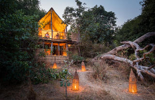 Chikoko Tree Camp