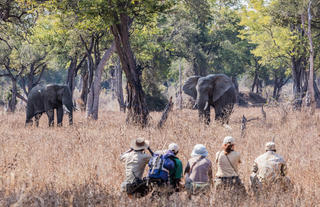 Chikoko walking trails