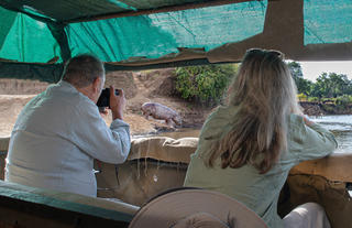 Hippo Hide