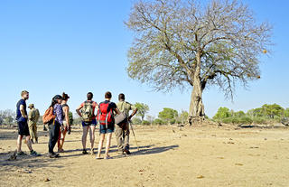 Bushwalk in Zambia