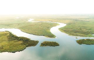 Chobe River